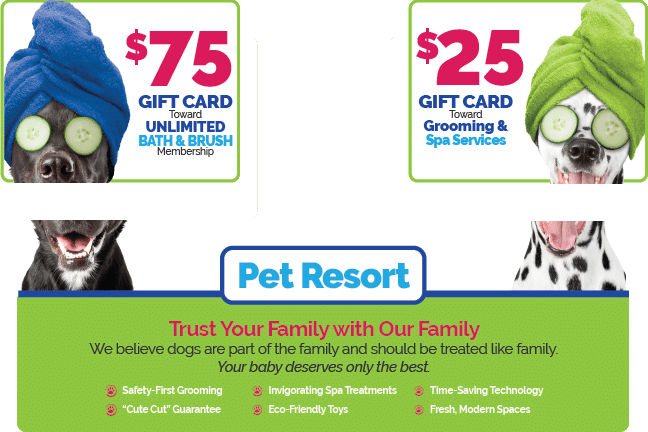 Jumbo-size postcard mailer