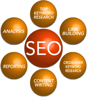 Dental Website SEO – 6 Month Data Results